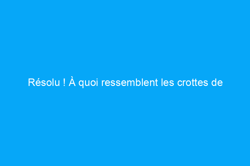 Résolu ! À quoi ressemblent les crottes de souris ?