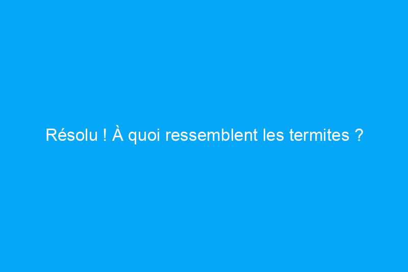 Résolu ! À quoi ressemblent les termites ?