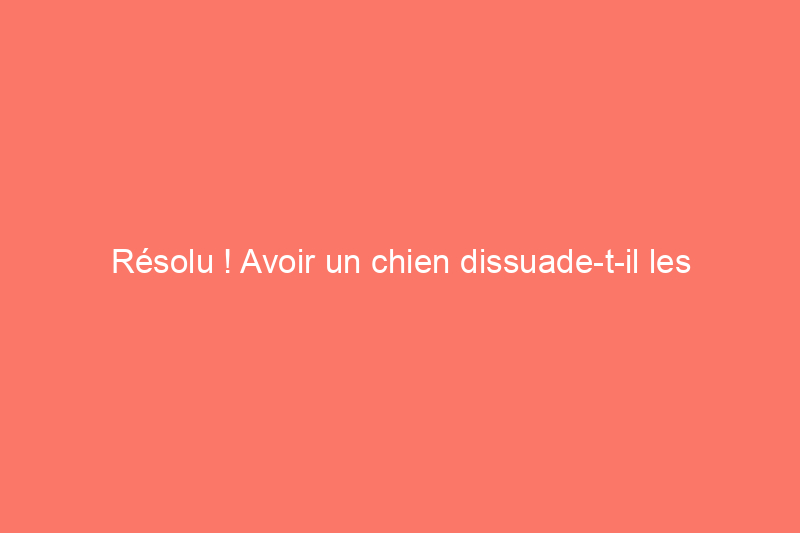 Résolu ! Avoir un chien dissuade-t-il les cambrioleurs ?