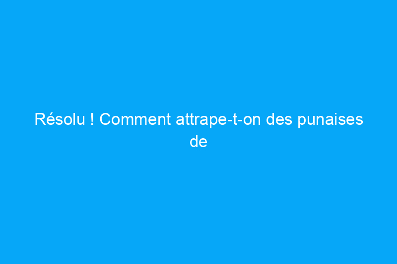 Résolu ! Comment attrape-t-on des punaises de lit dans votre maison ?