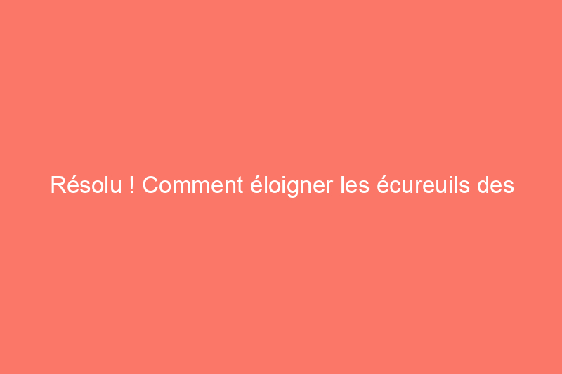 Résolu ! Comment éloigner les écureuils des citrouilles