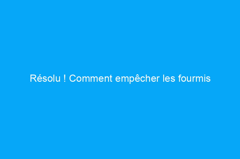 Résolu ! Comment empêcher les fourmis d'accéder aux mangeoires à colibris