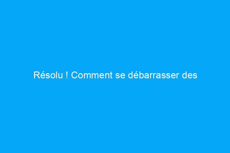 Résolu ! Comment se débarrasser des champignons dans la pelouse