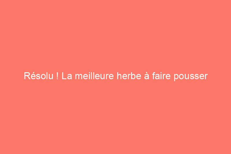 Résolu ! La meilleure herbe à faire pousser dans votre pelouse ombragée