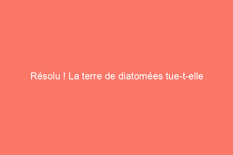 Résolu ! La terre de diatomées tue-t-elle réellement les punaises de lit ?