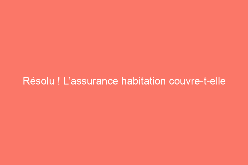 Résolu ! L’assurance habitation couvre-t-elle la moisissure ?