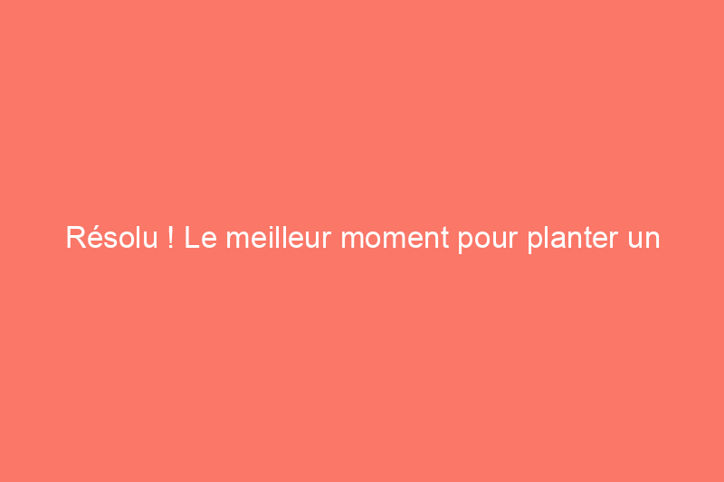 Résolu ! Le meilleur moment pour planter un arbre