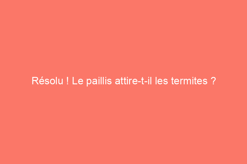 Résolu ! Le paillis attire-t-il les termites ?