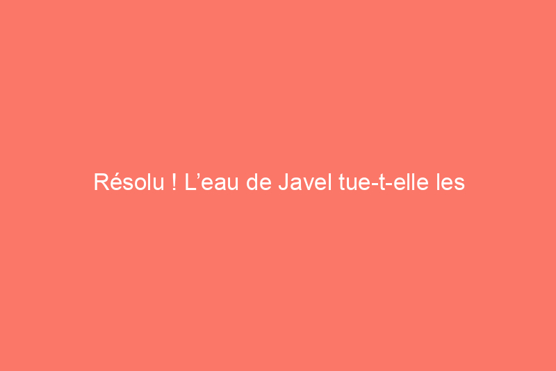 Résolu ! L’eau de Javel tue-t-elle les punaises de lit ?