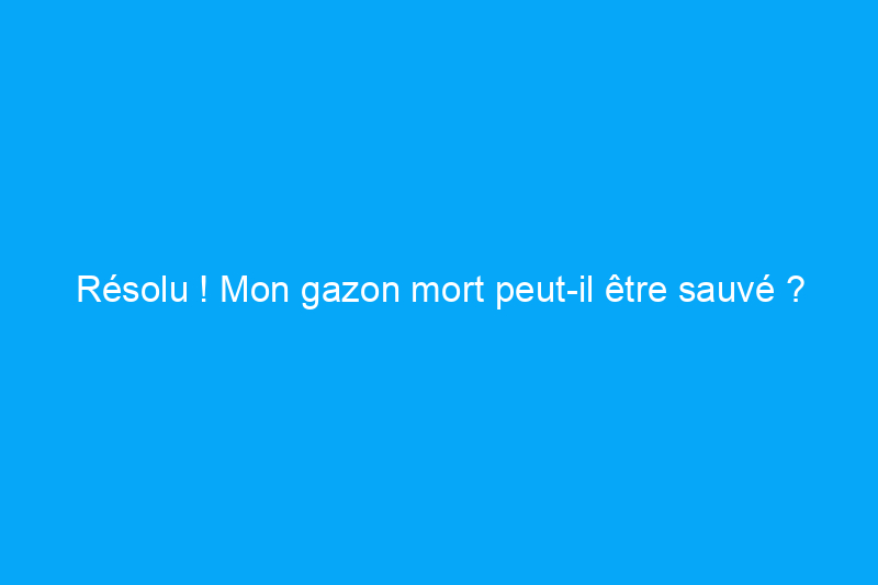 Résolu ! Mon gazon mort peut-il être sauvé ?