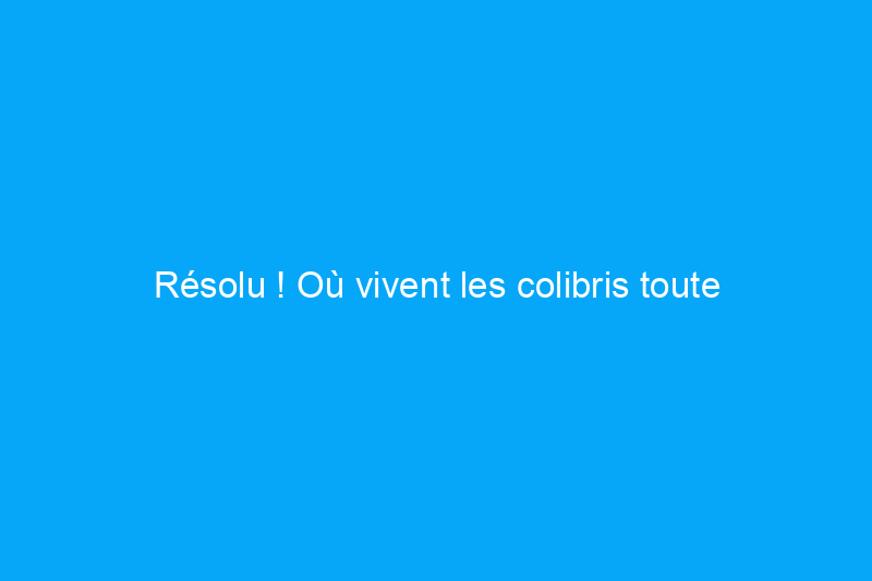 Résolu ! Où vivent les colibris toute l'année