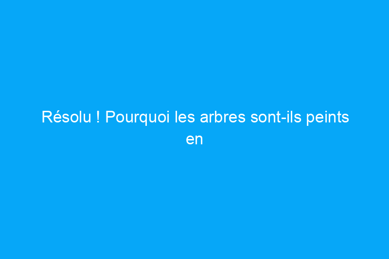 Résolu ! Pourquoi les arbres sont-ils peints en blanc ?