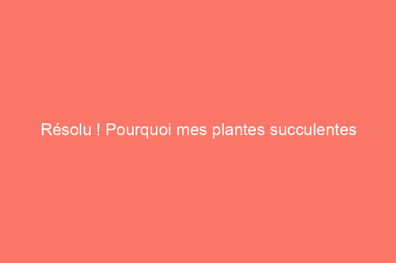 Résolu ! Pourquoi mes plantes succulentes meurent-elles ?