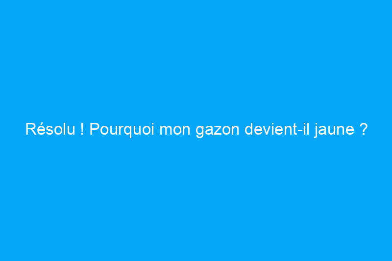 Résolu ! Pourquoi mon gazon devient-il jaune ?