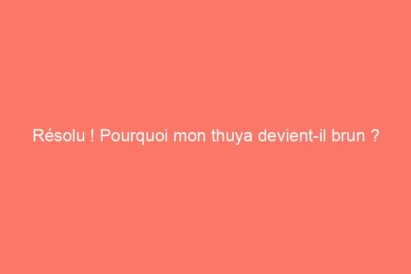 Résolu ! Pourquoi mon thuya devient-il brun ?