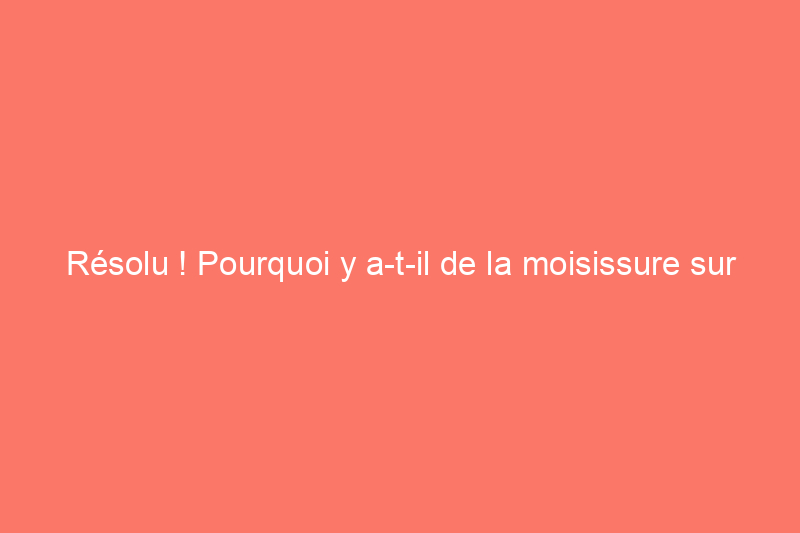 Résolu ! Pourquoi y a-t-il de la moisissure sur le rebord de la fenêtre et que faire à ce sujet