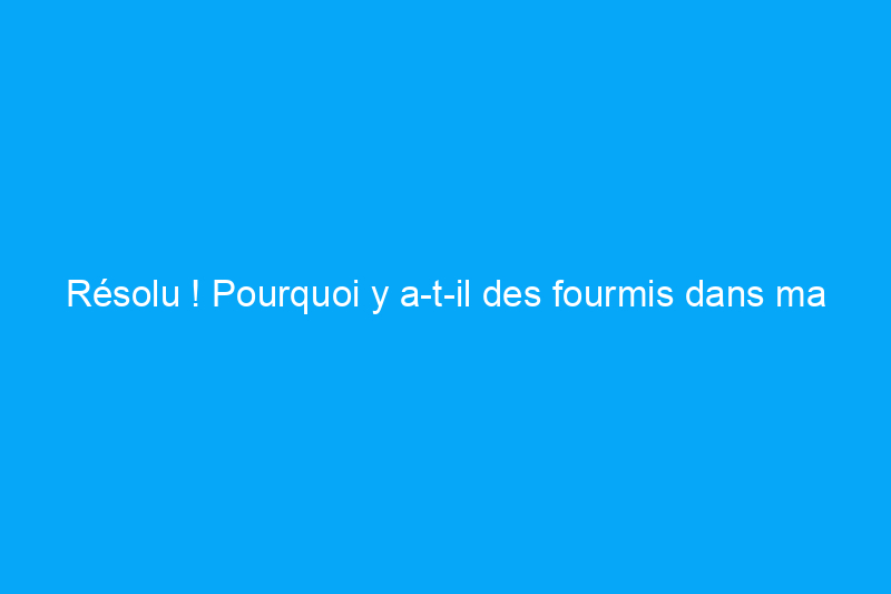 Résolu ! Pourquoi y a-t-il des fourmis dans ma salle de bains et comment m’en débarrasser ?