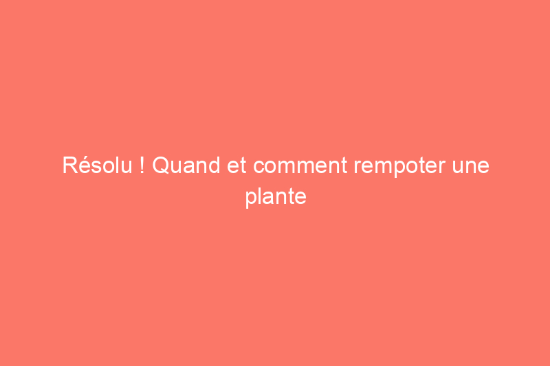 Résolu ! Quand et comment rempoter une plante