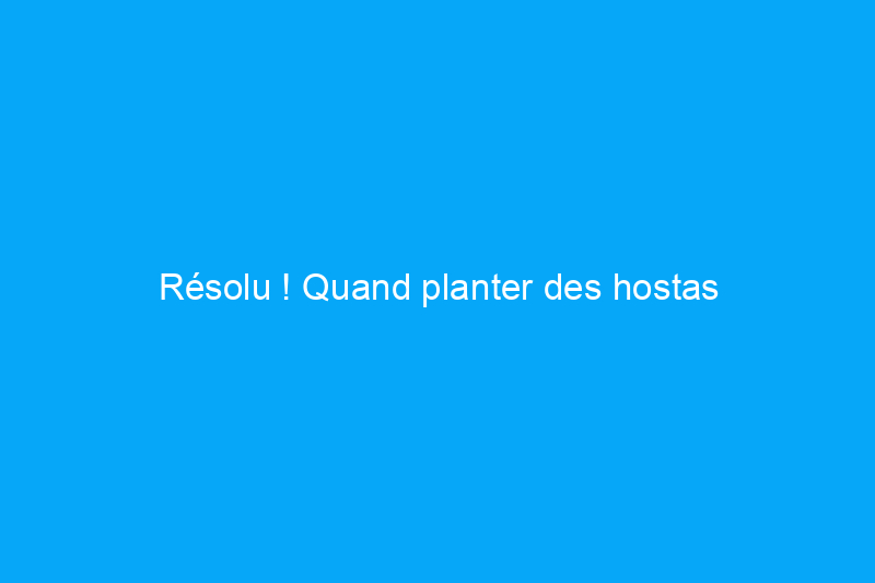 Résolu ! Quand planter des hostas