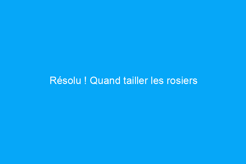 Résolu ! Quand tailler les rosiers