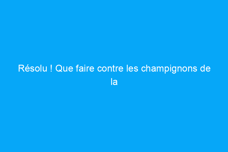 Résolu ! Que faire contre les champignons de la pelouse