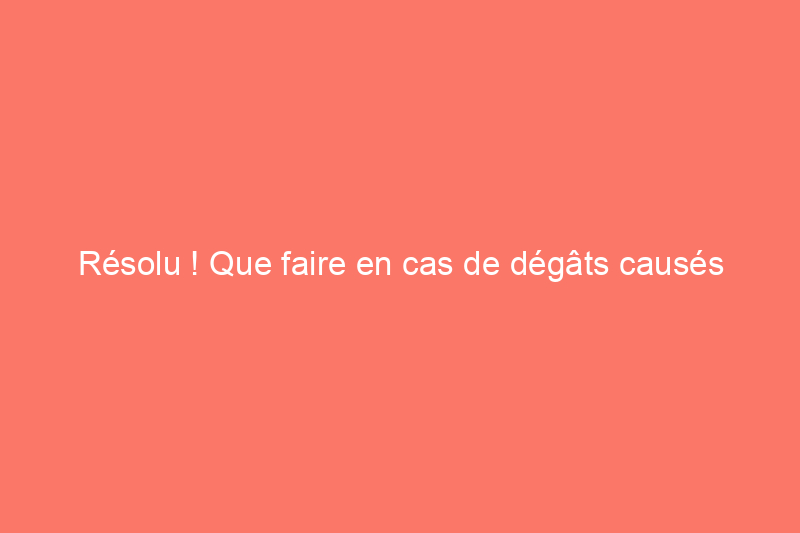 Résolu ! Que faire en cas de dégâts causés par les pics