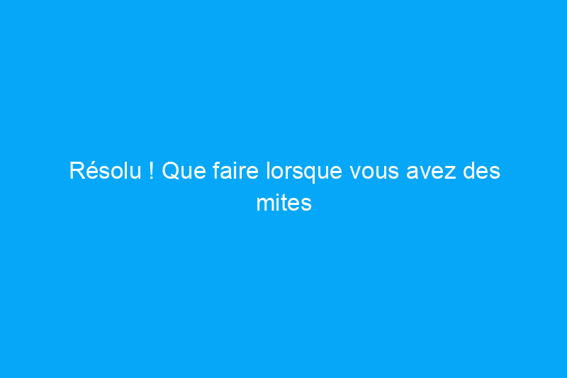 Résolu ! Que faire lorsque vous avez des mites dans votre placard