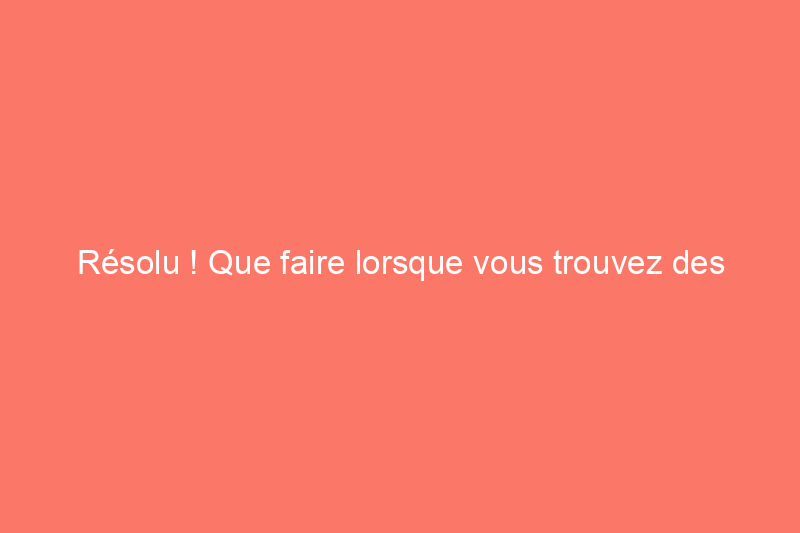 Résolu ! Que faire lorsque vous trouvez des tiques dans la maison