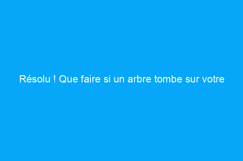 Résolu ! Que faire si un arbre tombe sur votre maison