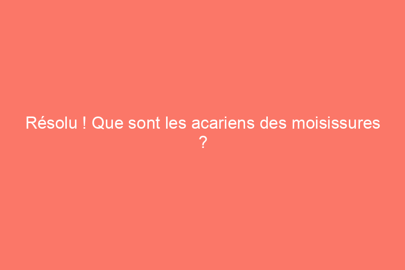 Résolu ! Que sont les acariens des moisissures ?