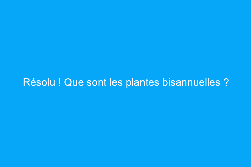 Résolu ! Que sont les plantes bisannuelles ?