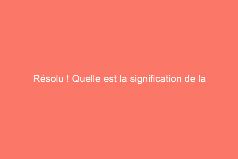 Résolu ! Quelle est la signification de la décoration de Noël en forme de cornichon ?