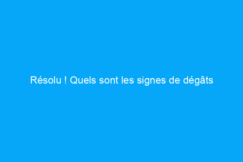 Résolu ! Quels sont les signes de dégâts d’eau dans les murs et que dois-je faire à ce sujet ?