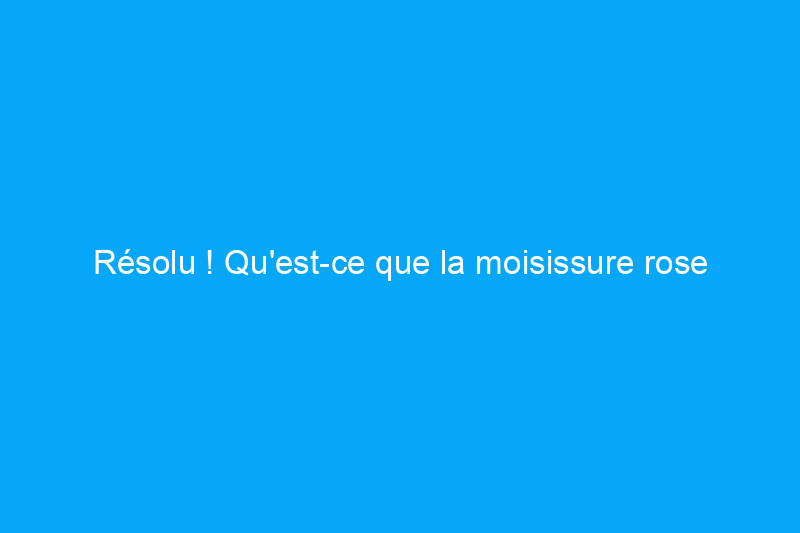 Résolu ! Qu'est-ce que la moisissure rose dans ma douche et comment m'en débarrasser ? 