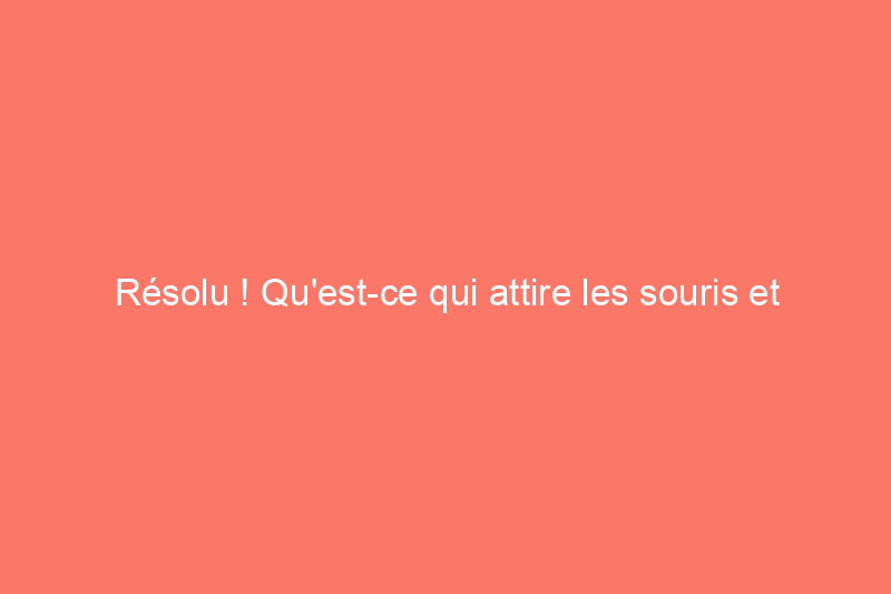 Résolu ! Qu'est-ce qui attire les souris et comment les éloigner de ma maison ?