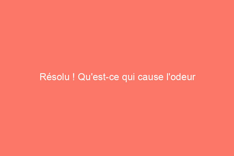 Résolu ! Qu'est-ce qui cause l'odeur de poisson dans ma maison ?