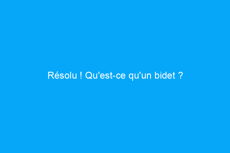 Résolu ! Qu'est-ce qu'un bidet ?