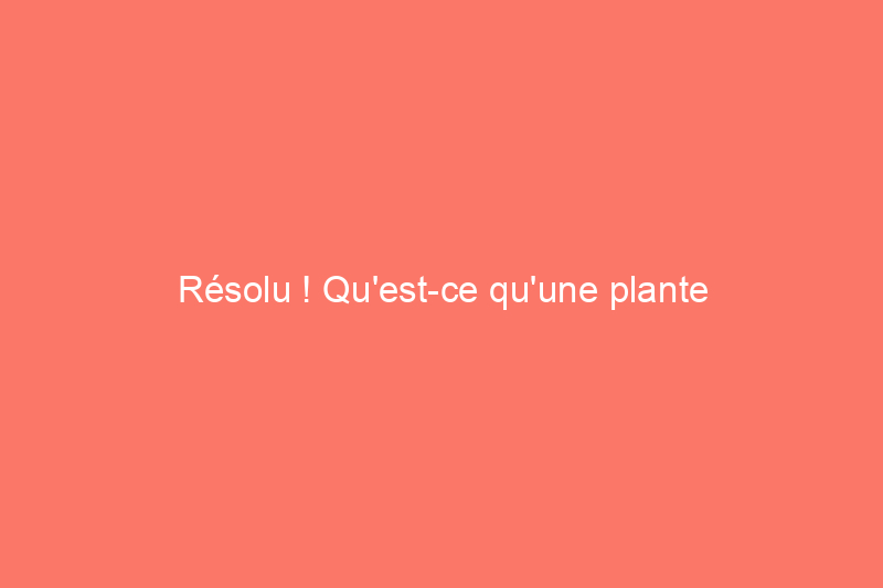 Résolu ! Qu'est-ce qu'une plante vivace ?