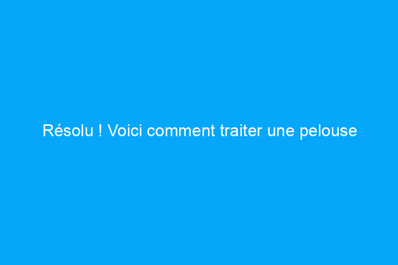 Résolu ! Voici comment traiter une pelouse soumise à la sécheresse