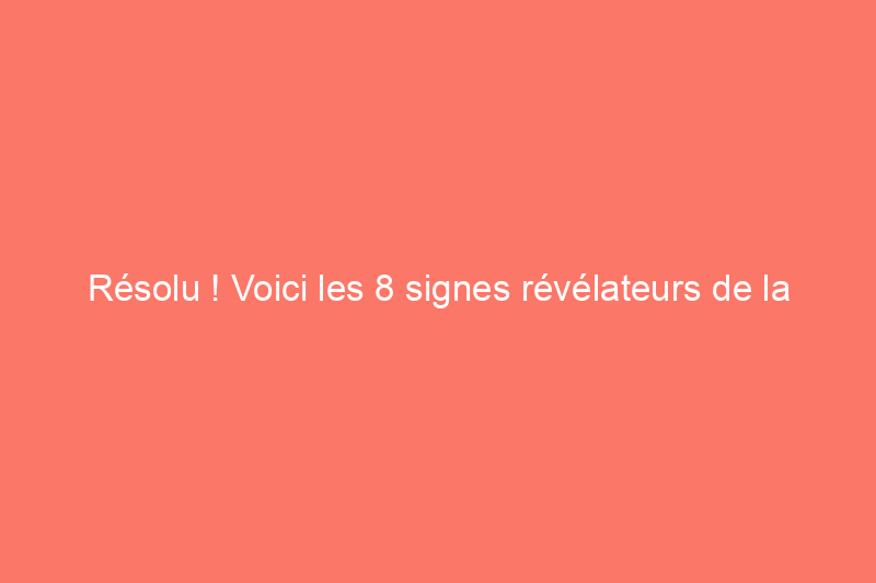 Résolu ! Voici les 8 signes révélateurs de la présence de moisissure dans la maison