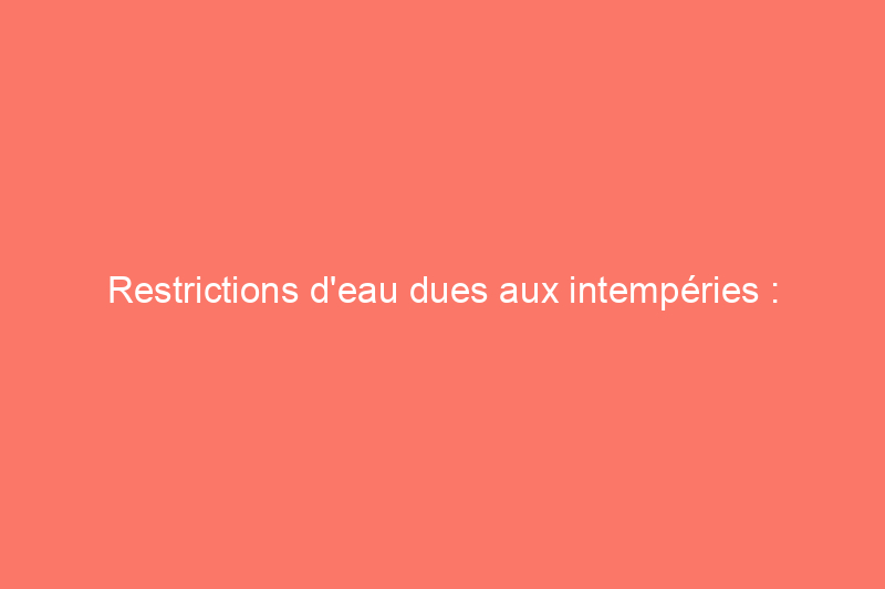 Restrictions d'eau dues aux intempéries : comment protéger votre paysage des effets de la sécheresse