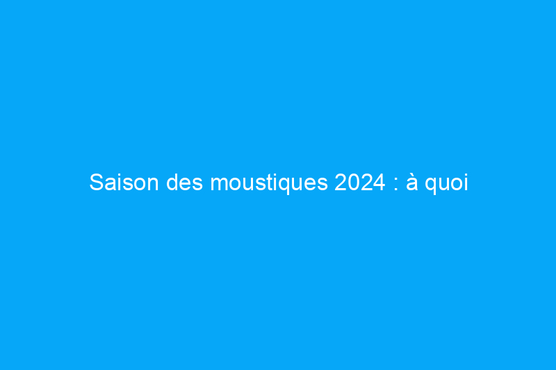 Saison des moustiques 2024 : à quoi s'attendre et comment se préparer