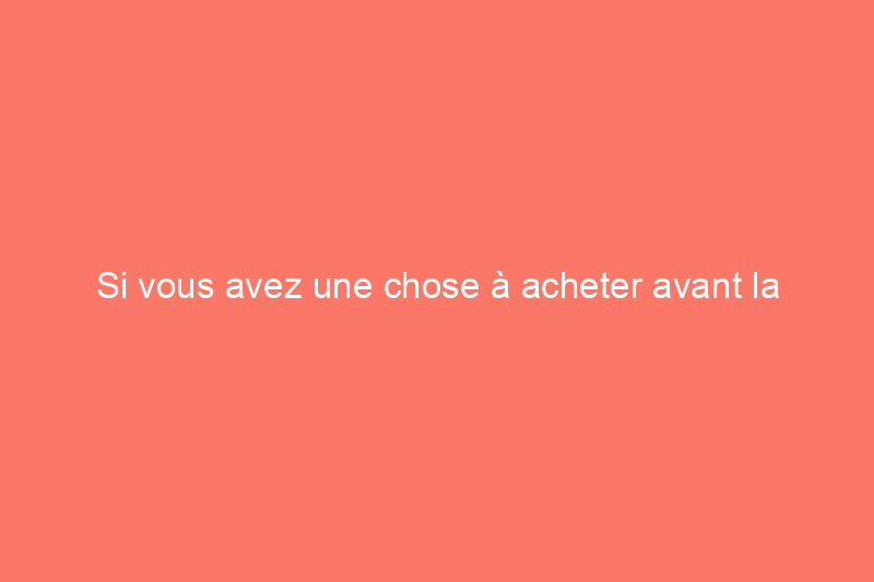 Si vous avez une chose à acheter avant la tempête, nous vous recommandons cette pelle à neige électrique, et elle est en promotion