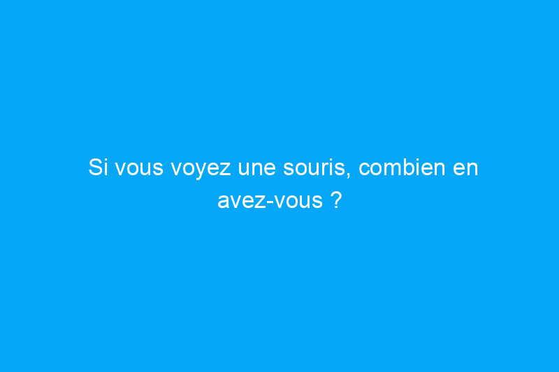 Si vous voyez une souris, combien en avez-vous ?