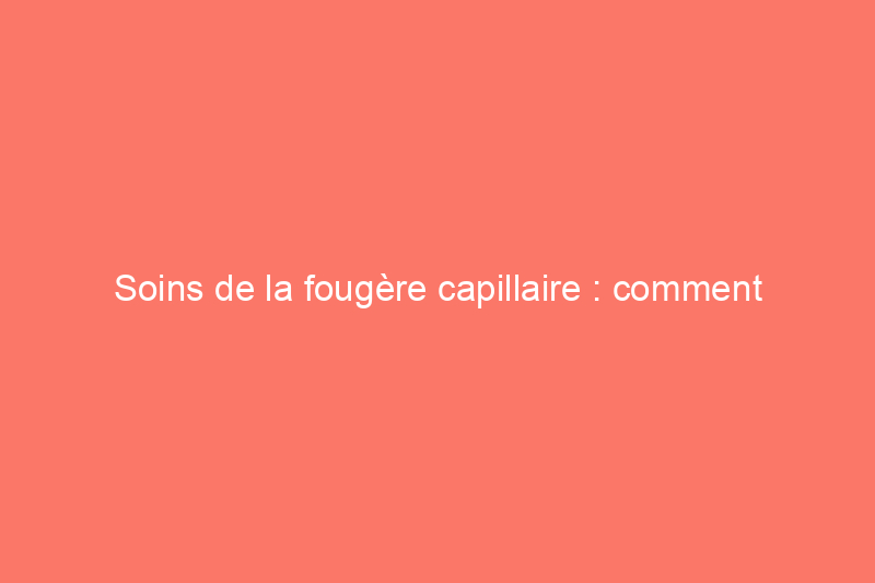 Soins de la fougère capillaire : comment maîtriser cette plante d'intérieur qui aime l'humidité