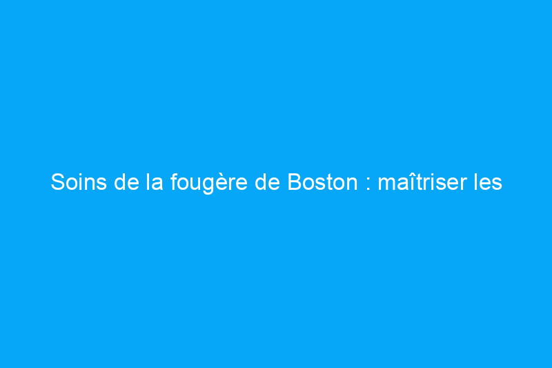 Soins de la fougère de Boston : maîtriser les frondes capricieuses de cette plante d'intérieur populaire