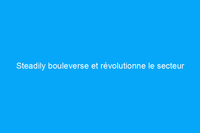 Steadily bouleverse et révolutionne le secteur de l’assurance, mais à quel prix pour les clients ?