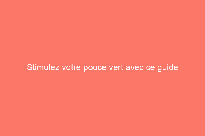 Stimulez votre pouce vert avec ce guide d'entretien des plants de café