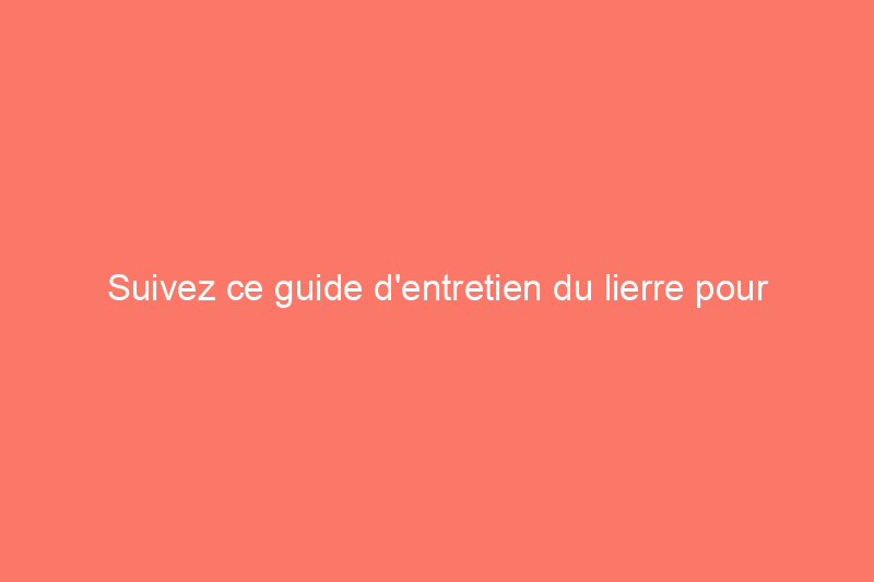 Suivez ce guide d'entretien du lierre pour faire pousser des vignes colorées et contenues à l'intérieur