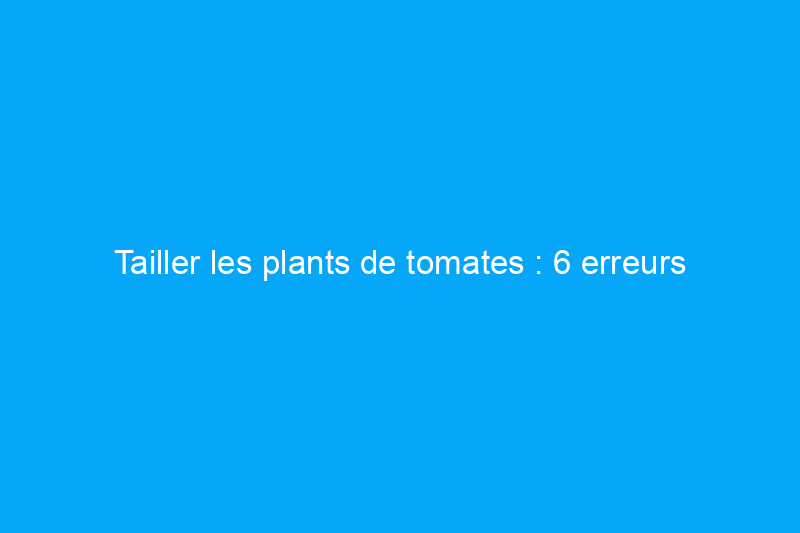 Tailler les plants de tomates : 6 erreurs commises par la plupart des jardiniers débutants